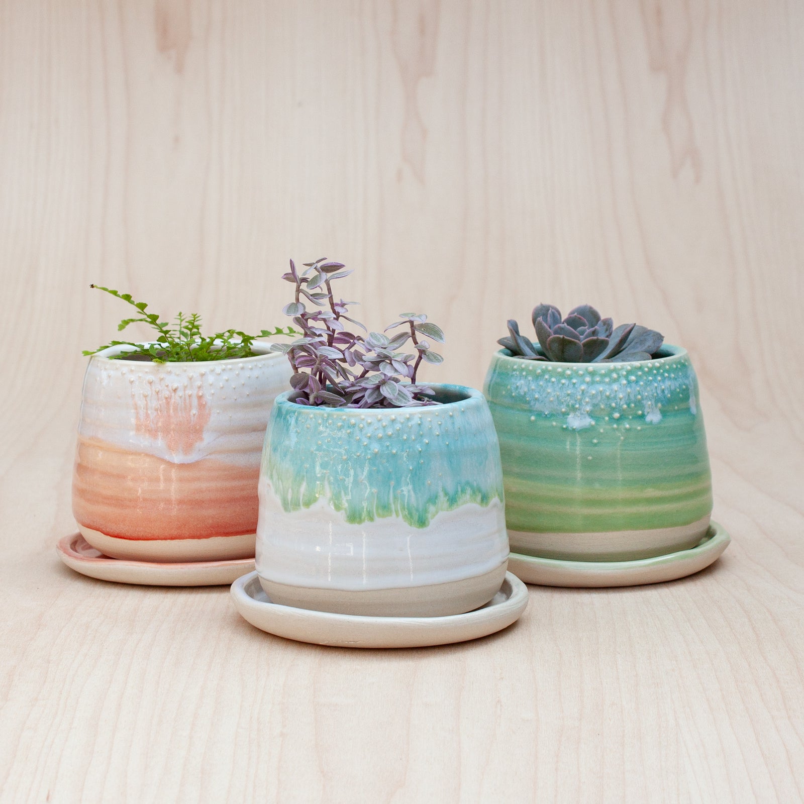 Barnacle Babe Planter in Ojai Sunset