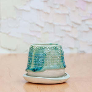 Barnacle Mini Planter in Forest Mist