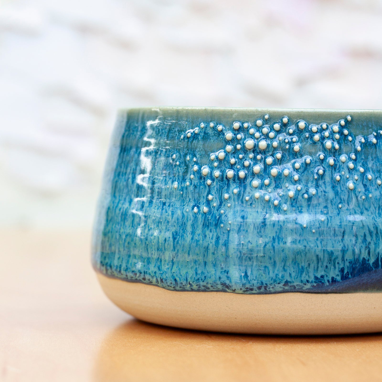 Barnacle Bowl in Pacific