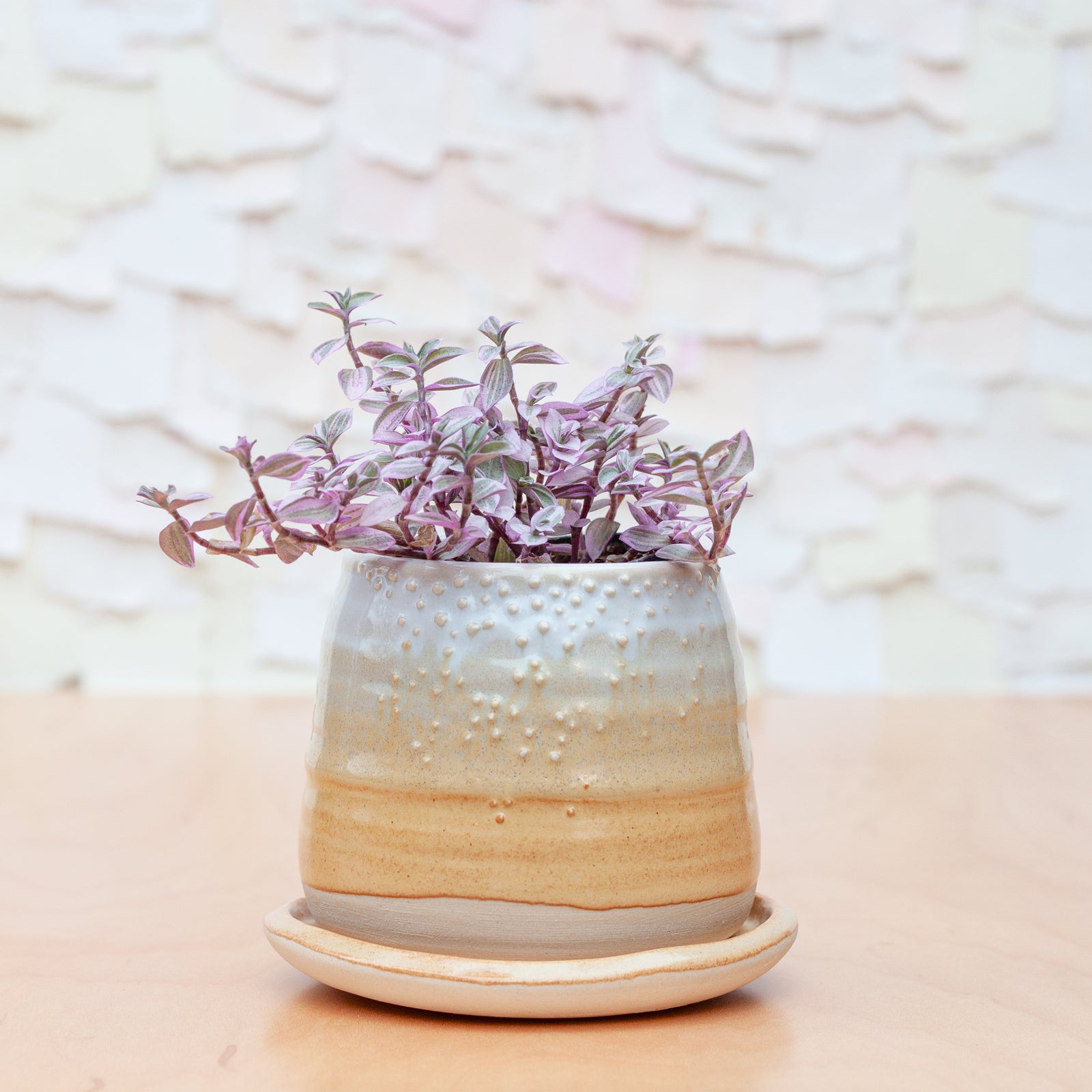 Barnacle Babe Planter in Sandstone