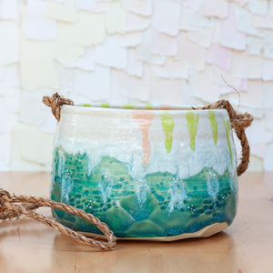 Bonny Doon Hanging Planter in Succulent