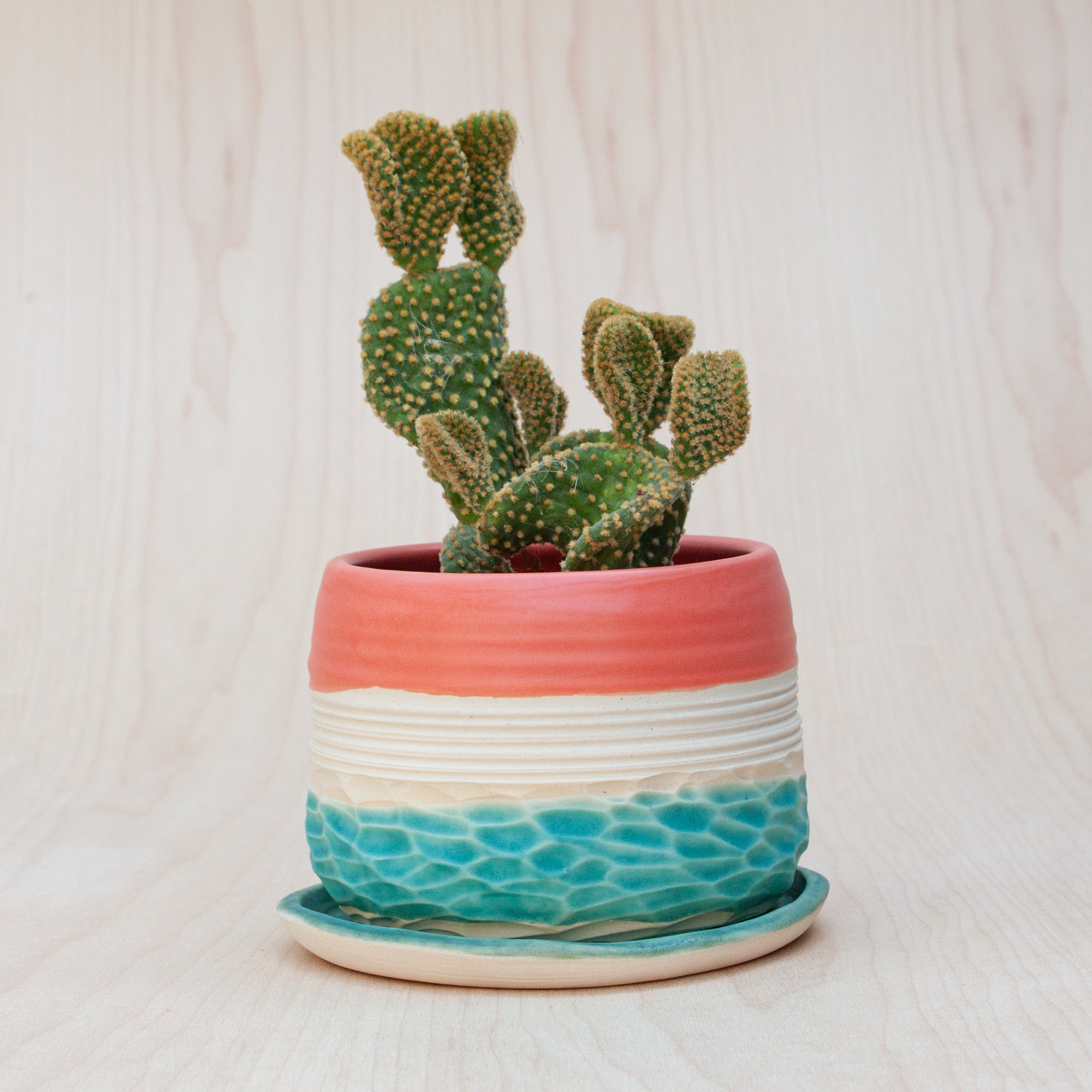 Horizon Planter in Hermosa