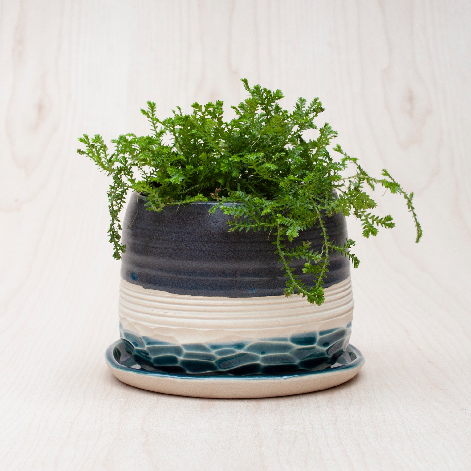 Saucer for Planters