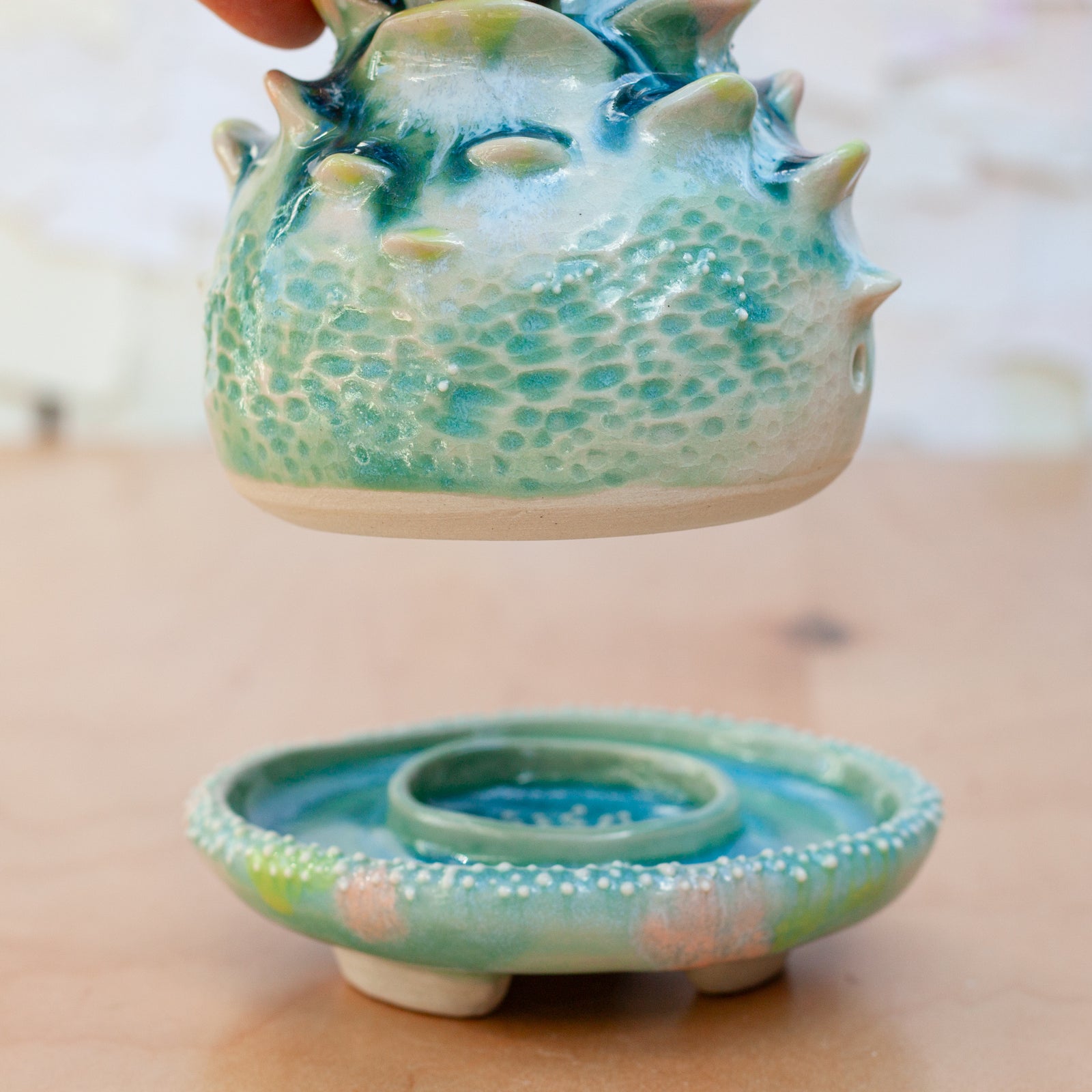 Incense Holder in Succulent