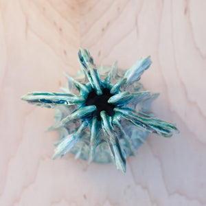 Reef Vessel in Succulent