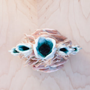 Reef Vessel in Coral