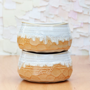 Canyon Bowl in Sandstone