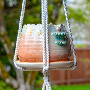 Scallop Planter in Solar Ray