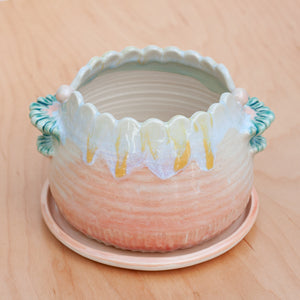 Scallop Planter in Solar Ray