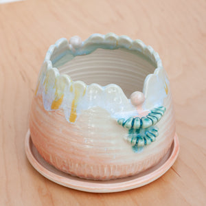 Scallop Planter in Solar Ray