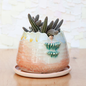 Scallop Planter in Solar Ray