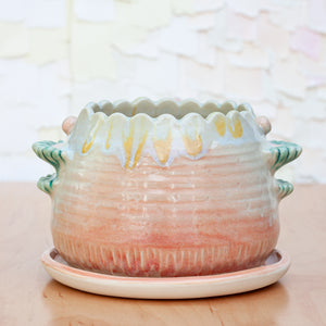 Scallop Planter in Solar Ray