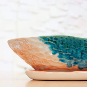 Window Planter in Solar Rays